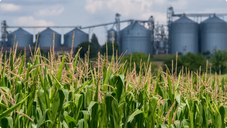 Agriculture